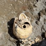 Teschio del fuggiasco (1)