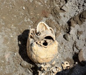 Teschio del fuggiasco (1)