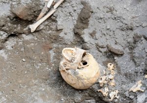 Teschio del fuggiasco (10)