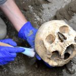 Teschio del fuggiasco (7)