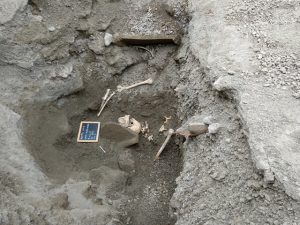 Teschio fuggiasco -1