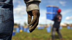 caporalatolavoromigranti