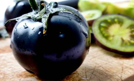 Pomodoro nero, svelato gene responsabile del suo colore