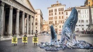 Due balene invase dalla plastica