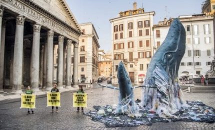 Due balene invase dalla plastica, Greenpeace al Pantheon