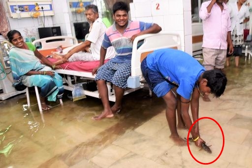 India, pesci nell'ospedale colpito dalle alluvioni
