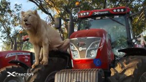 XTractor Sudafrica,8mila chilometri slow fra natura e solidarietà