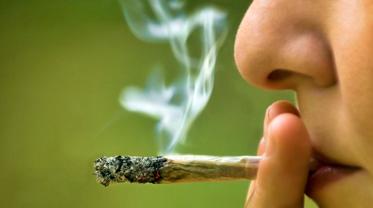 La Camera bassa approva la legalizzazione del consumo di cannabis