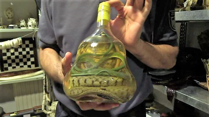 sequestri estivi della dogana