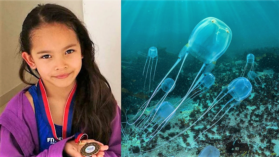 Filippine, bimba italiana di sette anni muore per una medusa