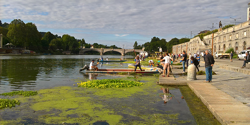 A Torino, controlli sul fiume Po su presenza di alghe infestanti