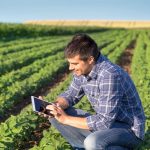 giovani_agricoltori_aziendaagricoltura3