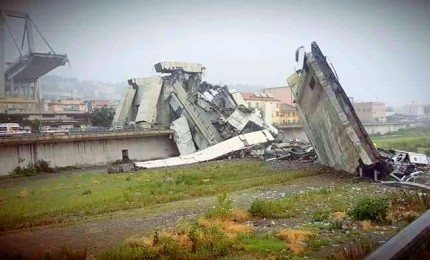 Crollo Genova, Procura: demolizione ponte subito dopo nostro ok