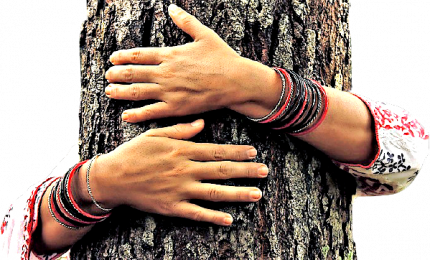 Abbracciare un albero fa bene allo spirito e al territorio