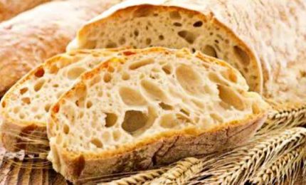 Attenti al pane, nella crosta componenti che invecchiano le cellule