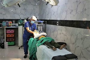 Colore e arte in corsia per aiutare il paziente a guarire