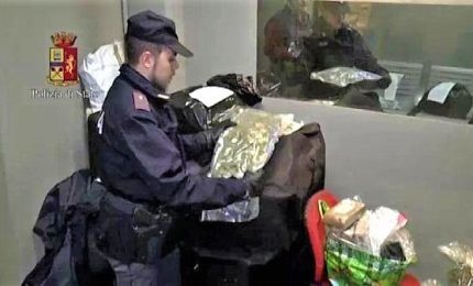 Blitz a Brescia: 56 arresti, 130 kg di coca sequestrata