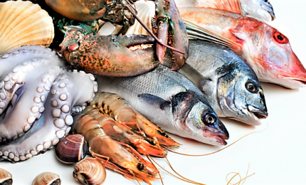 Pesce, cresce consumo in Italia. Parola d'ordine sostenibilità