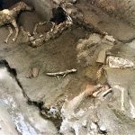 1terzo_cavallo_civita_giuliana-