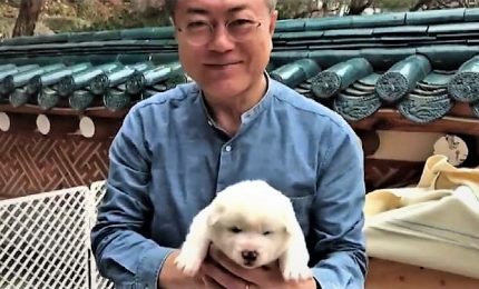 Moon Jae-in tiene in braccio i cani disgelo tra le due Coree