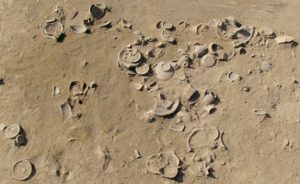 piano arcaico con deposizione rituale di vasellame durante lo scavo-Fondo Iozzino. Parco Archeologico di Pompei1