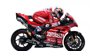 10doviziosopetrucciducati