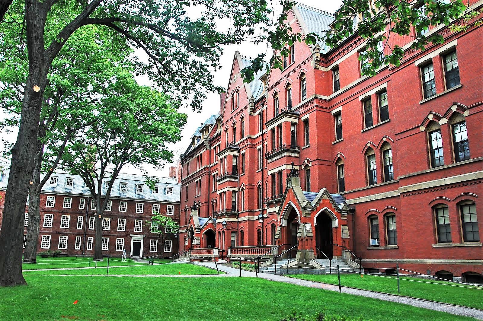 E’ Harvard la migliore università al mondo, Italia a settimo posto