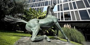 raivialemazzinicavallo