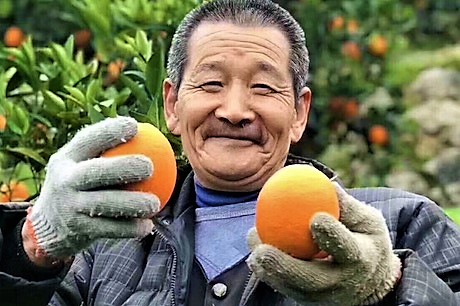 Le “arance” di Di Maio e il “porto” di Xi, tutti pazzi per la Cina