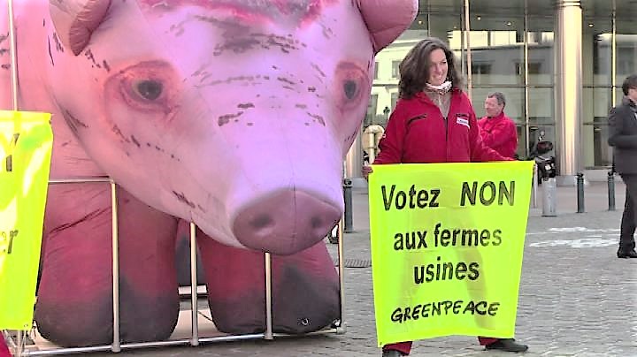 Un maiale gigante al Parlamento Ue, la protesta di Greenpeace