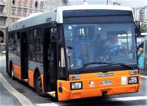 amt autobus