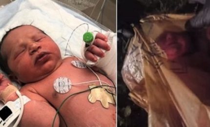 Abbandonata in una busta di plastica, salva una neonata in Usa