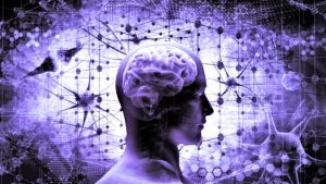 cervello-neuroni-678x381