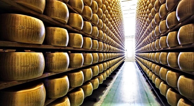 Dazi Usa al 25% su pecorino, parmigiano e prosciutto. Governo: “Ci difenderemo”