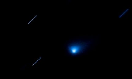 Il telescopio Hubble osserva la "cometa aliena" Borisov