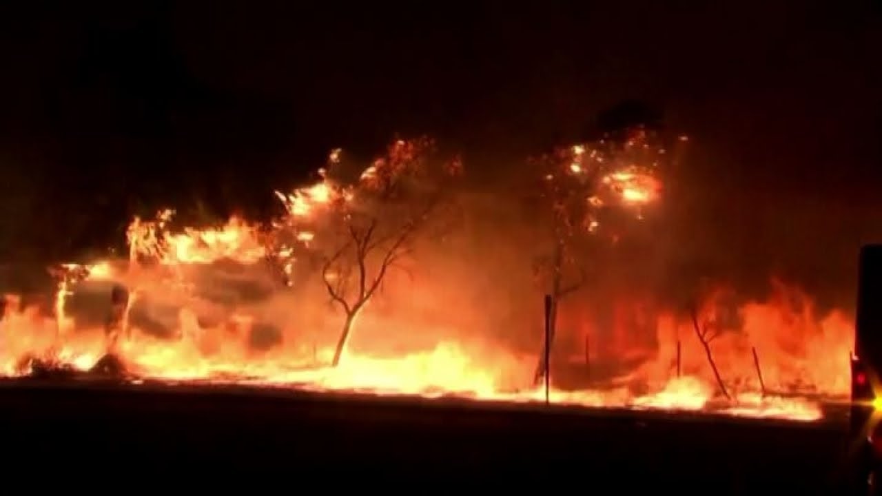 Incendi in Sicilia, paura in provincia di Palermo e Trapani