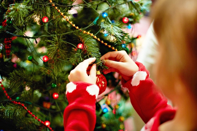 Natale, quanto costa l’albero alle famiglie italiane