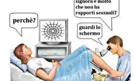 Vignetta sessista, polemica su consigliere Veneto di Fdi