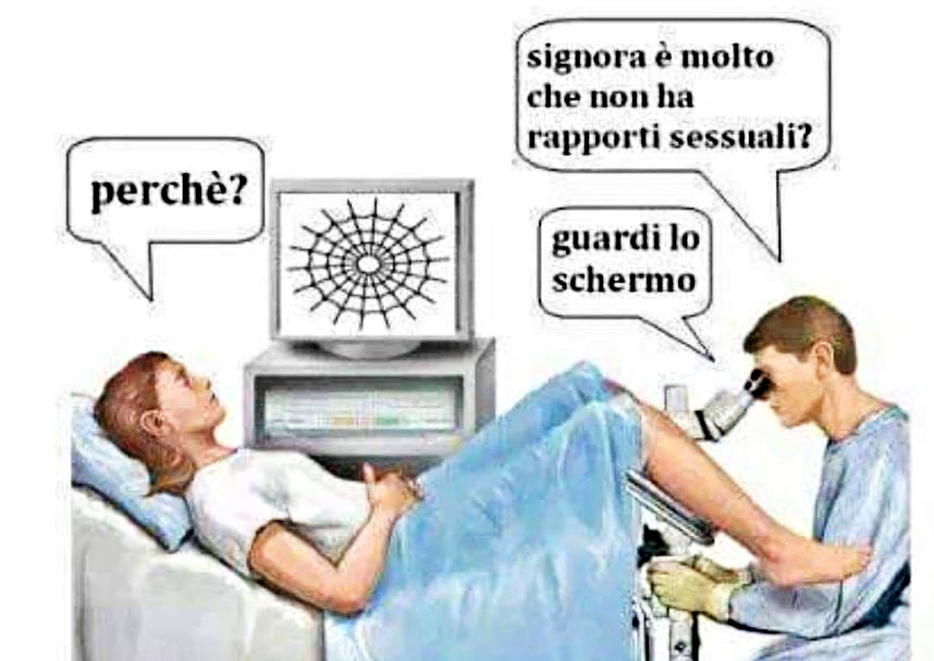 Vignetta sessista, polemica su consigliere Veneto di Fdi