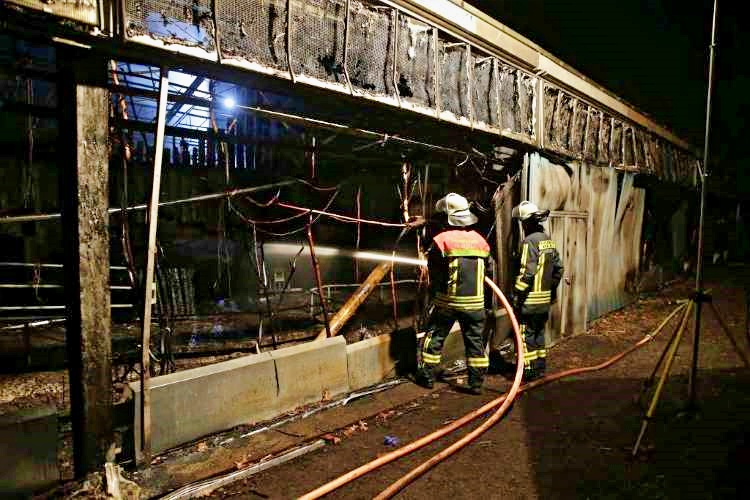 Incendio in zoo Krefeld: 30 animali uccisi, strage di primati