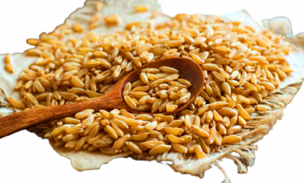 Diabete, un aiuto arriva dal grano khorasan Kamut