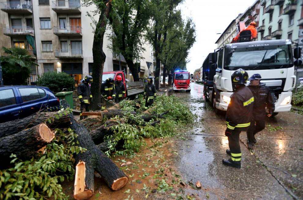 Donna travolta da albero caduto per il vento a Milano: è grave