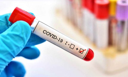 Coronavirus in Italia, 4 morti e 479 nuovi casi in 24 ore. Più ricoveri, anche in terapia intensiva