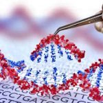 Il Dna influenza il carattere: individuate 1.263 varianti legate alla personalità