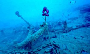 Scoperto il relitto di un galeone del '500 nelle acque di Camogli