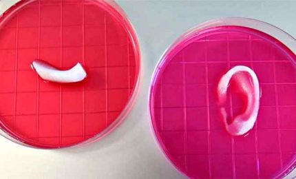 Medicina rigenerativa, possibile la stampa 3D dentro il corpo