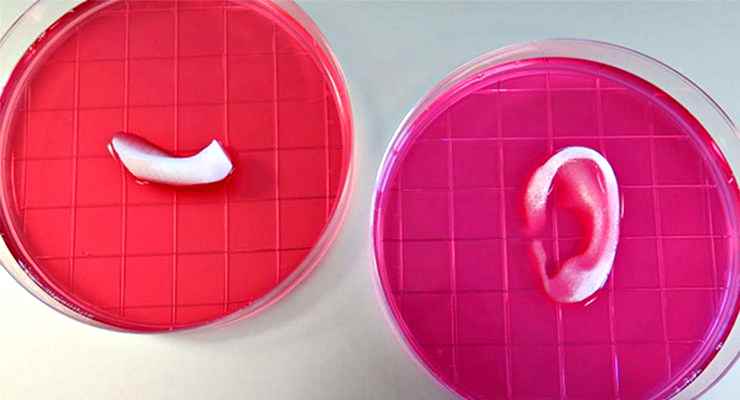 Medicina rigenerativa, possibile la stampa 3D dentro il corpo