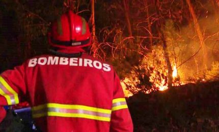 Mega incendio boschivo nel Portogallo centrale