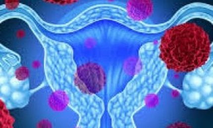 Procreazione: presentato nuovo studio di ringiovanimento ovarico