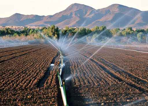 Agricoltura, le università in campo per l’irrigazione intelligente